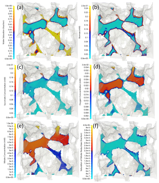 Pore-scale visualization of pH field through micro-CT grain pack